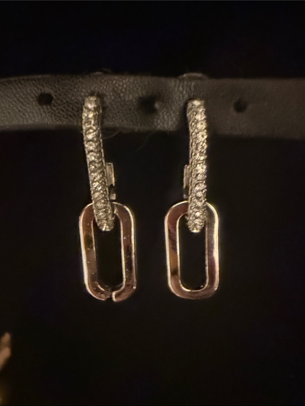 NWOT Silver Stainless earrings